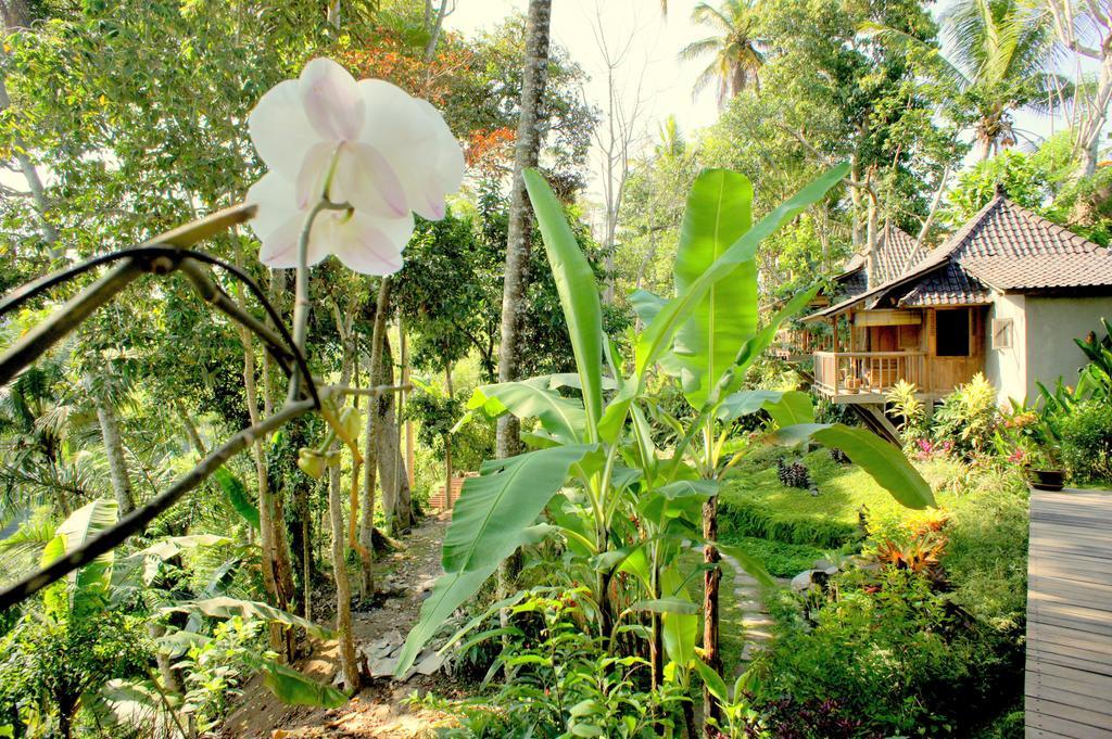 Prashanti Bali Ubud Exteriör bild