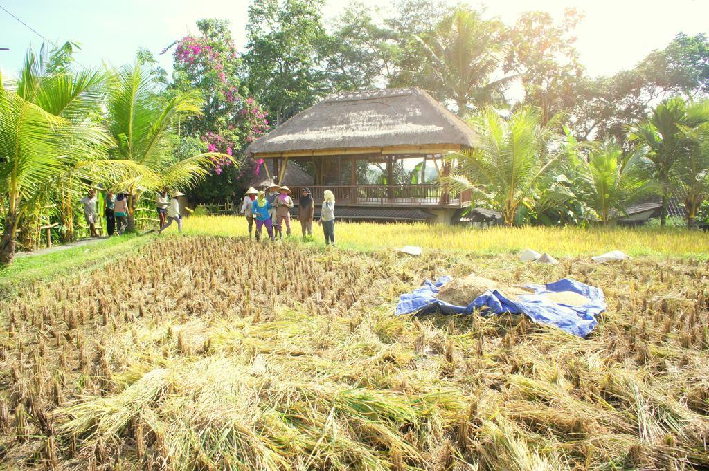 Prashanti Bali Ubud Exteriör bild
