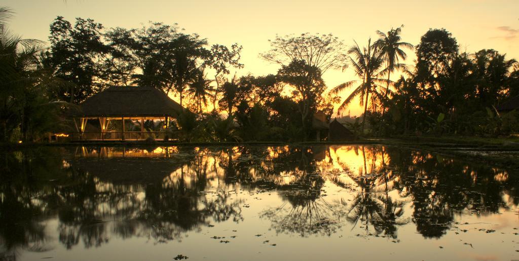 Prashanti Bali Ubud Exteriör bild